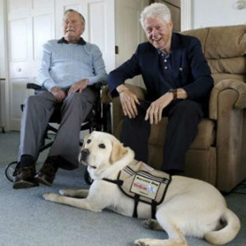 Бившият президент Буш приветства новото служебно куче на комплекса Kennebunkport